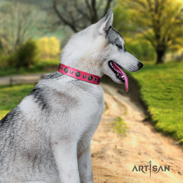 Siberian Husky impressive decorated full grain natural leather dog collar for everyday walking