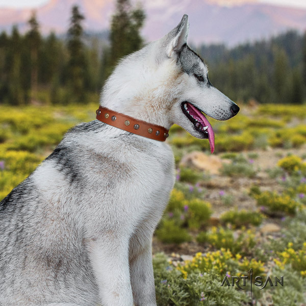 Siberian Husky stylish design decorated full grain natural leather dog collar