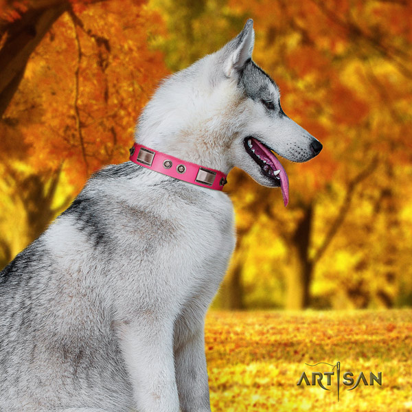 Siberian Husky designer decorated full grain genuine leather dog collar for everyday walking