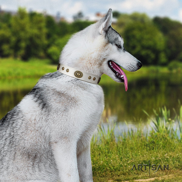 Siberian Husky trendy decorated leather dog collar