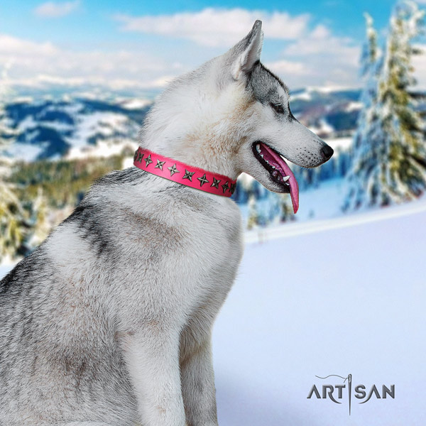 Siberian Husky extraordinary decorated natural leather dog collar for comfy wearing