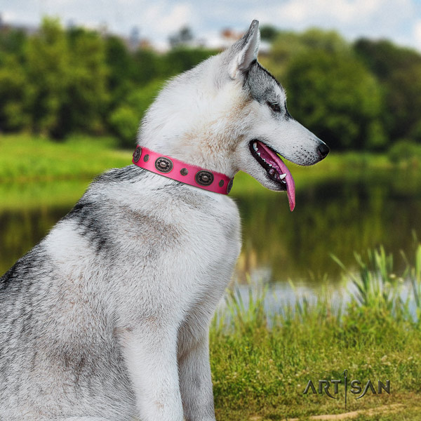 Siberian Husky amazing embellished full grain leather dog collar