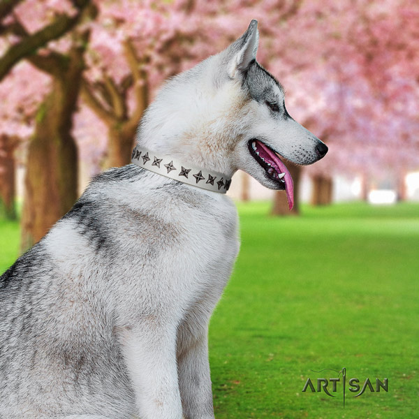 Siberian Husky remarkable adorned natural leather dog collar for everyday use