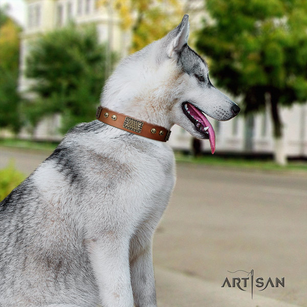 Siberian Husky stunning decorated natural genuine leather dog collar