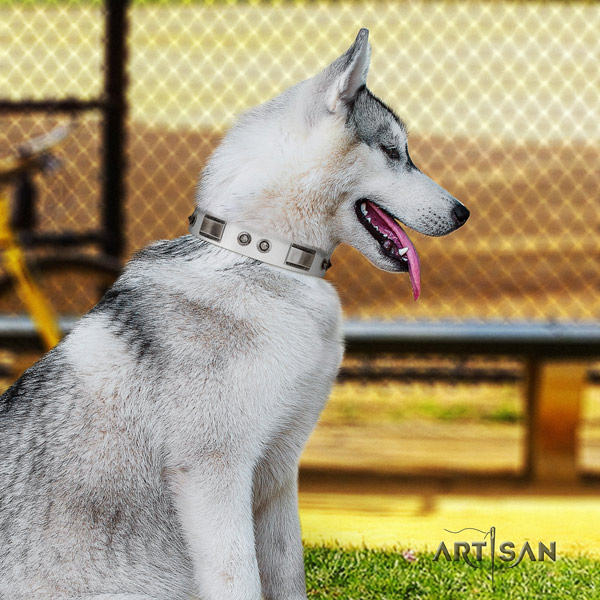 Siberian Husky designer decorated genuine leather dog collar for everyday walking
