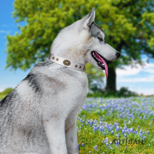Siberian Husky inimitable decorated full grain leather dog collar