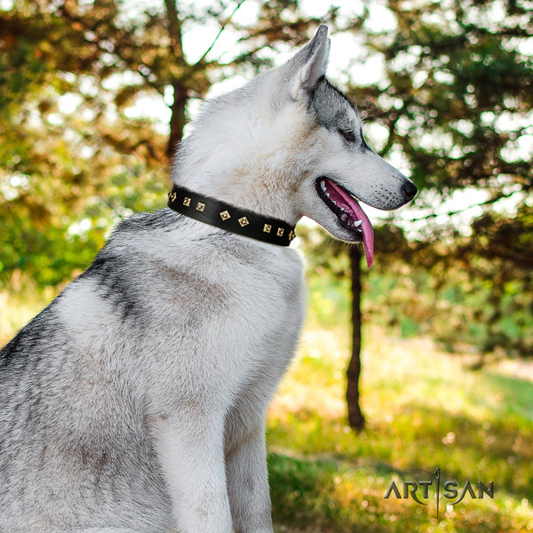 Siberian Husky incredible decorated full grain natural leather dog collar