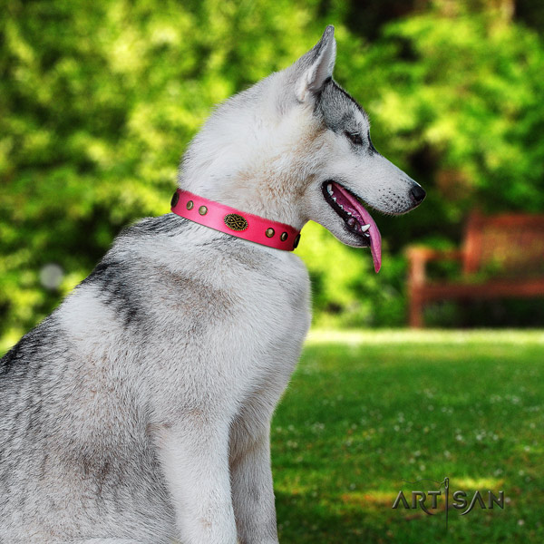 Siberian Husky exquisite decorated genuine leather dog collar for walking