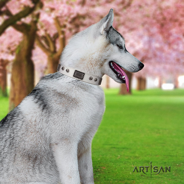 Siberian Husky stylish adorned full grain natural leather dog collar