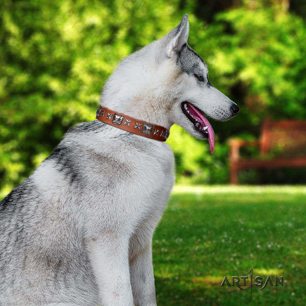 Siberian Husky top notch decorated genuine leather dog collar