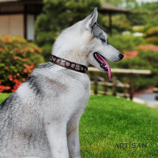 Siberian Husky stylish design studded leather dog collar