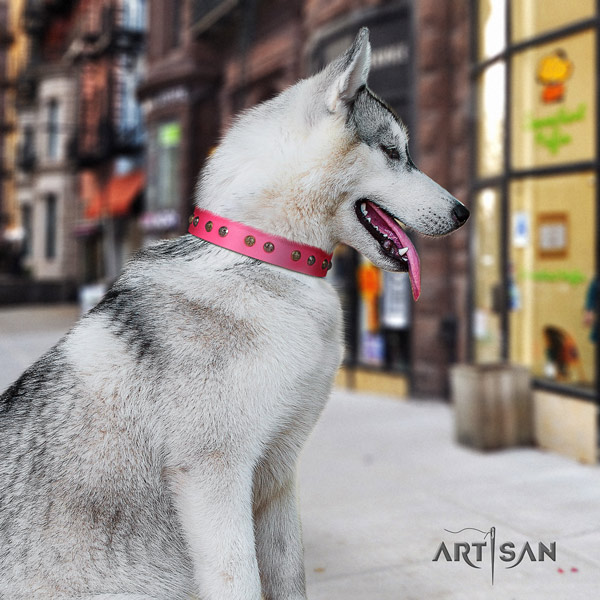 Siberian Husky inimitable decorated natural genuine leather dog collar