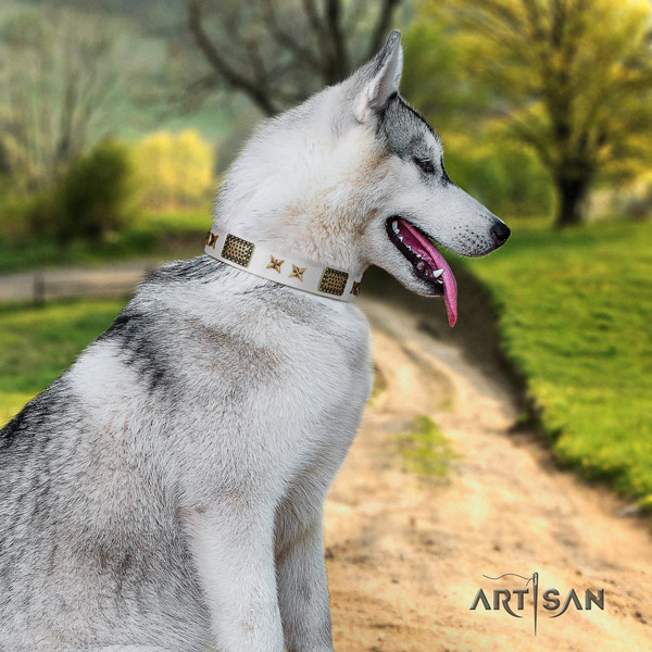 Siberian Husky impressive decorated full grain genuine leather dog collar