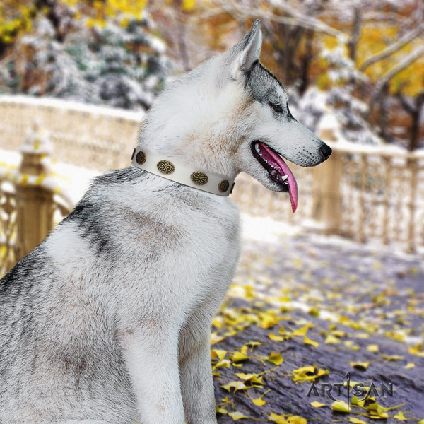 Siberian Husky significant decorated full grain leather dog collar