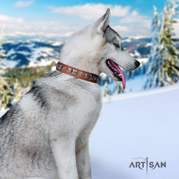 Siberian Husky incredible embellished full grain genuine leather dog collar