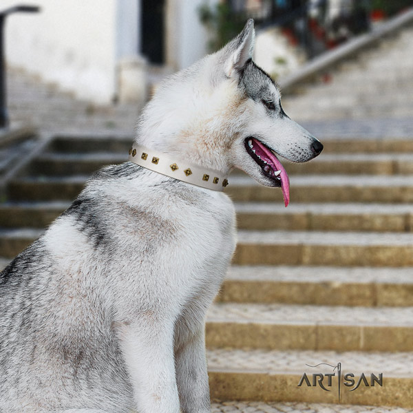 Siberian Husky trendy studded leather dog collar