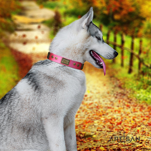 Siberian Husky trendy embellished full grain natural leather dog collar