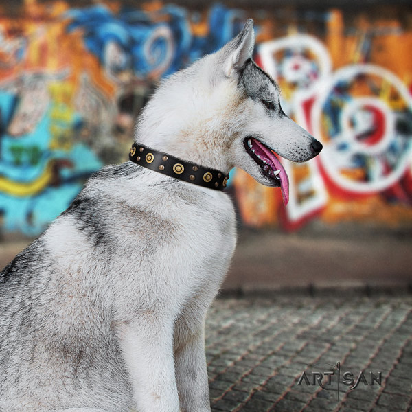 Siberian Husky exceptional embellished full grain natural leather dog collar