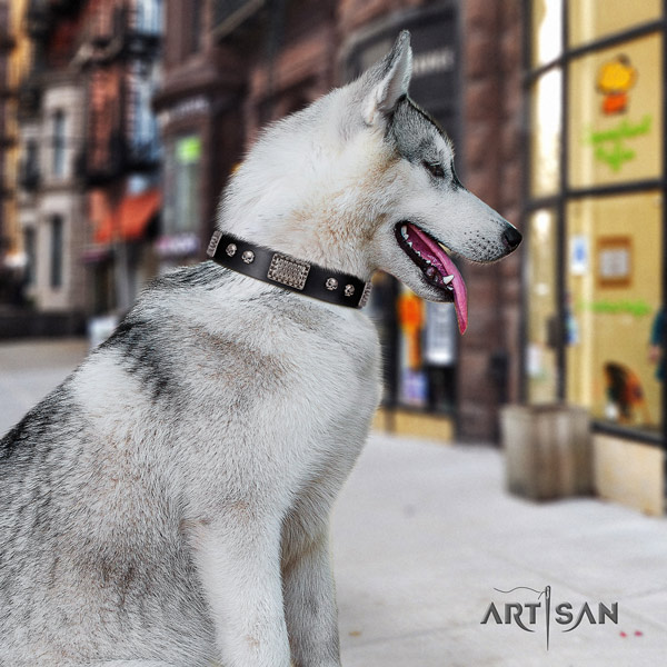 Siberian Husky unusual adorned natural genuine leather dog collar