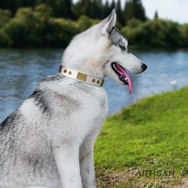 Siberian Husky stunning studded natural genuine leather dog collar