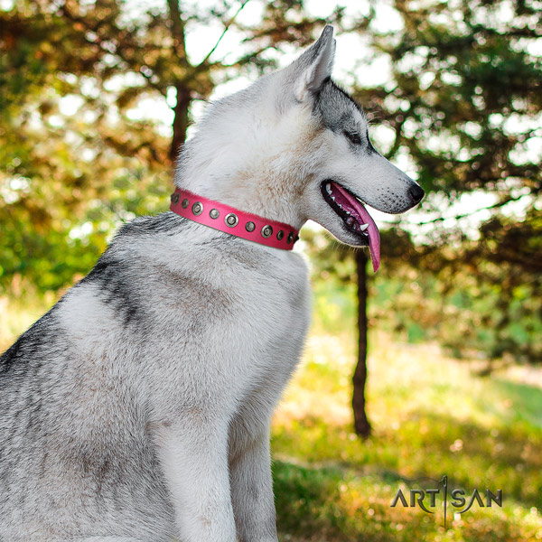 Siberian Husky extraordinary embellished natural leather dog collar for easy wearing