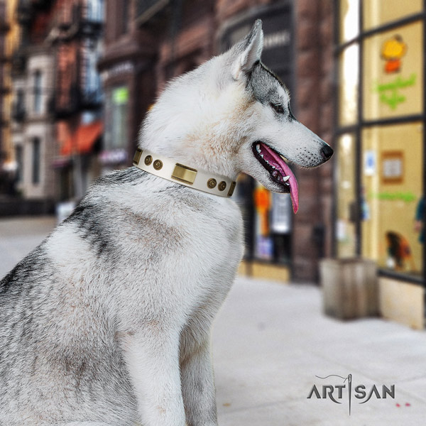 Siberian Husky extraordinary decorated leather dog collar