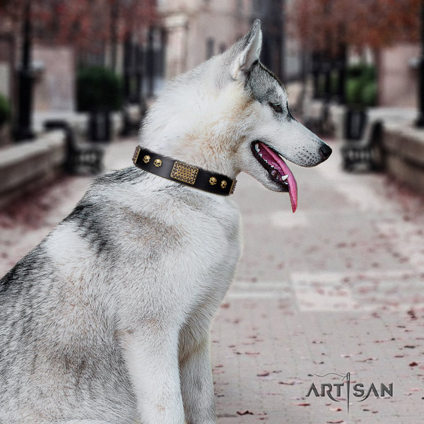 Siberian Husky stylish design embellished genuine leather dog collar