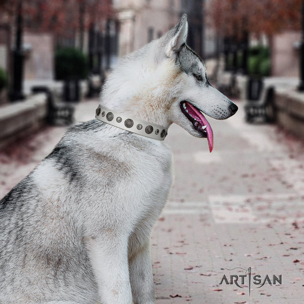 Siberian Husky inimitable adorned genuine leather dog collar for walking