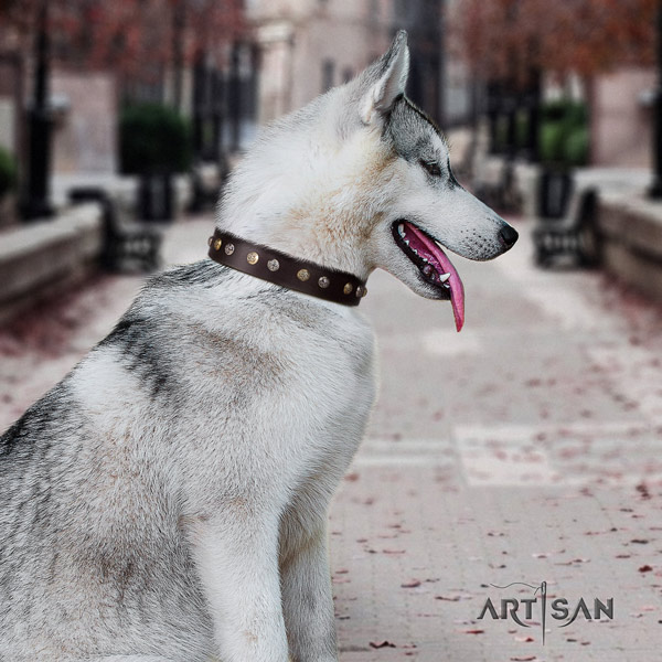 Siberian Husky designer decorated genuine leather dog collar