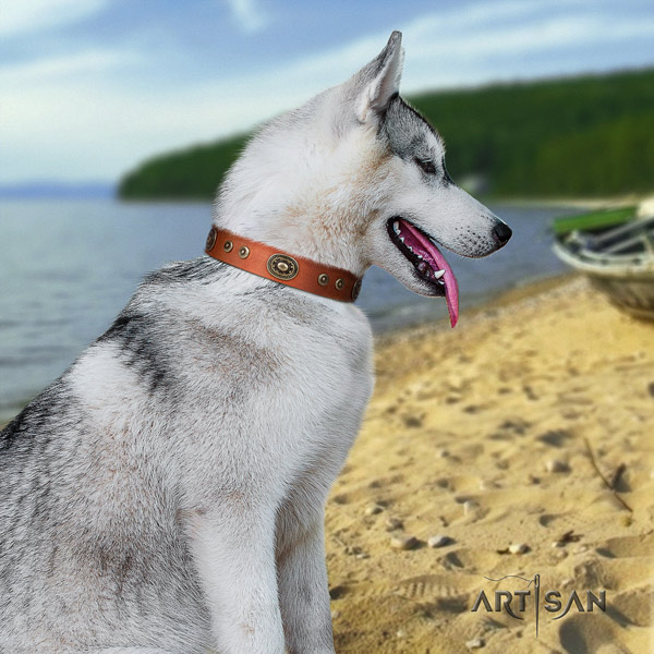 Siberian Husky exquisite studded natural genuine leather dog collar