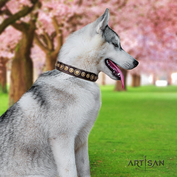 Siberian Husky designer adorned full grain natural leather dog collar