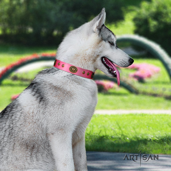 Siberian Husky fashionable embellished leather dog collar