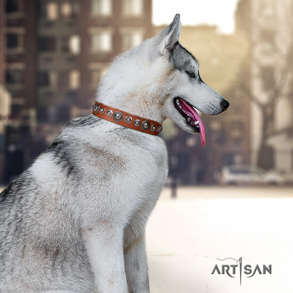 Siberian Husky fashionable embellished natural genuine leather dog collar