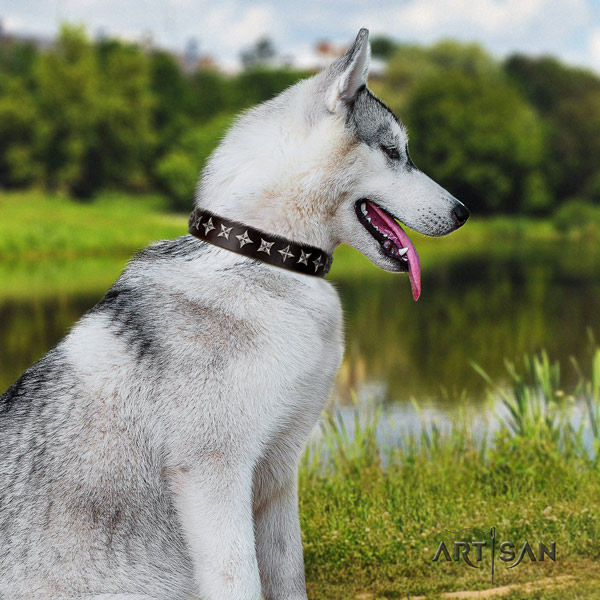 Siberian Husky stylish design adorned full grain leather dog collar for easy wearing