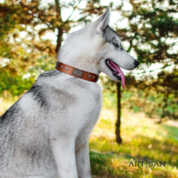 Siberian Husky exquisite decorated leather dog collar