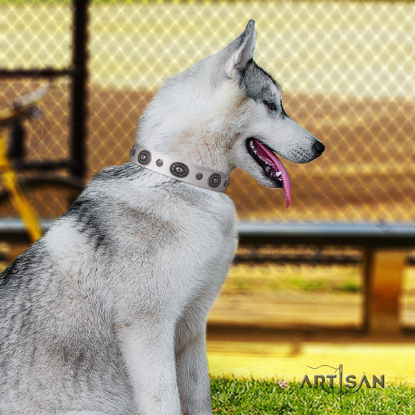 Siberian Husky top notch embellished genuine leather dog collar