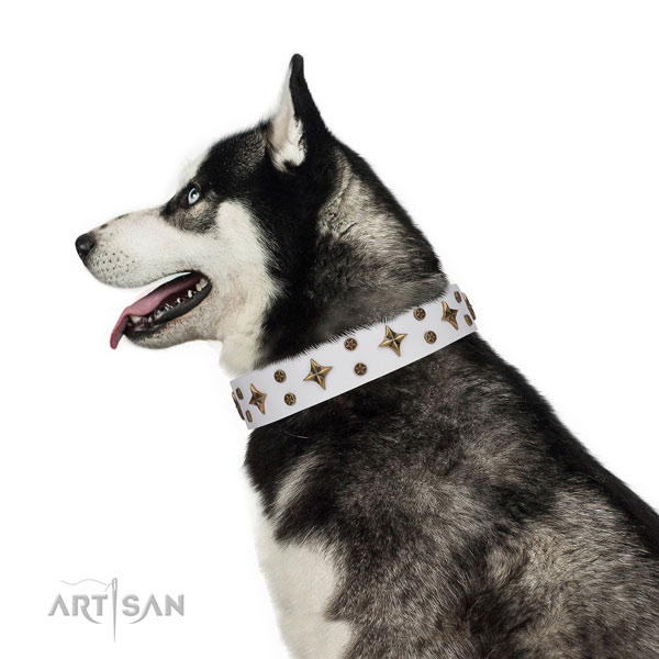 Siberian Husky full grain genuine leather collar with rust-proof fittings for easy wearing
