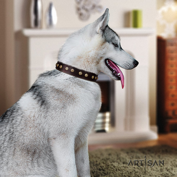 Siberian Husky exquisite adorned natural genuine leather dog collar