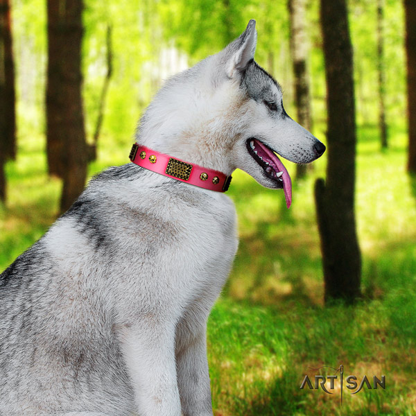 Siberian Husky unique adorned full grain genuine leather dog collar for comfortable wearing