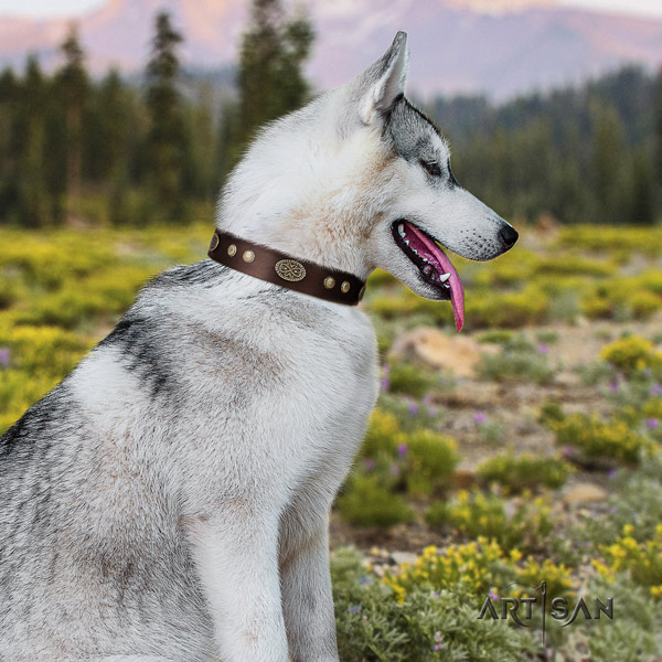 Siberian Husky significant embellished genuine leather dog collar for comfortable wearing
