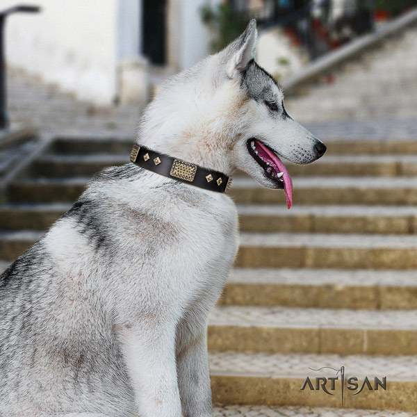 Siberian Husky top notch decorated leather dog collar