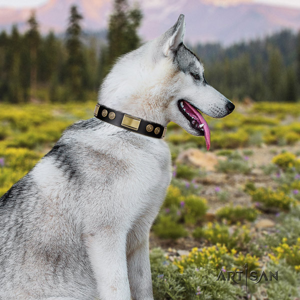 Siberian Husky inimitable embellished full grain natural leather dog collar