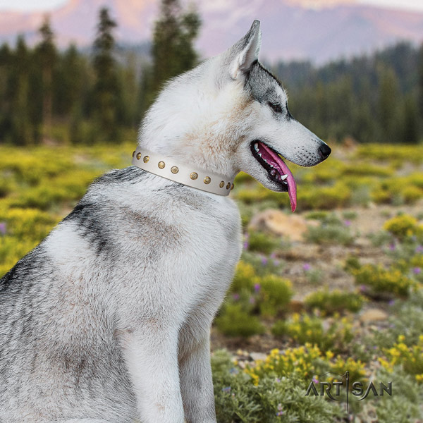 Siberian Husky significant studded natural genuine leather dog collar