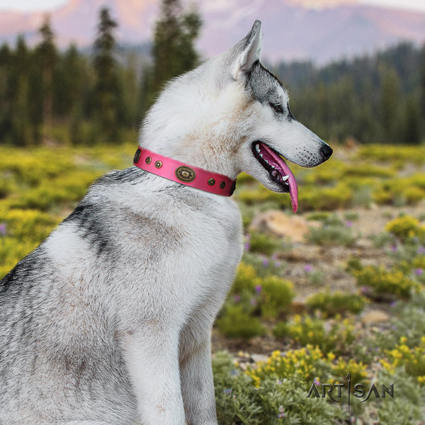 Siberian Husky unusual studded full grain leather dog collar