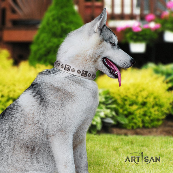 Siberian Husky exquisite studded genuine leather dog collar