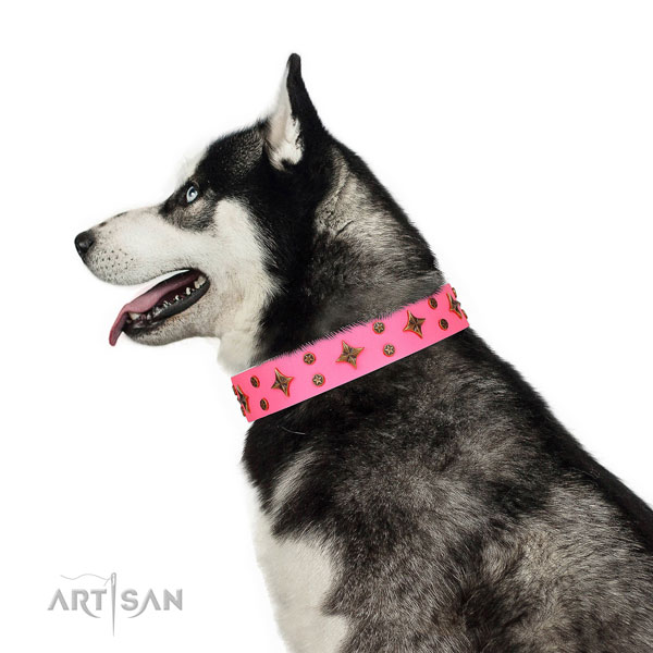 Siberian Husky full grain natural leather collar with corrosion resistant D-ring for walking