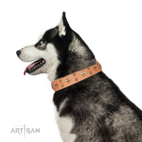 Siberian Husky full grain leather collar with reliable D-ring for comfy wearing