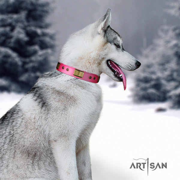 Siberian Husky stunning decorated full grain genuine leather dog collar