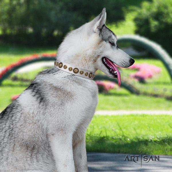 Siberian Husky stunning adorned full grain natural leather dog collar