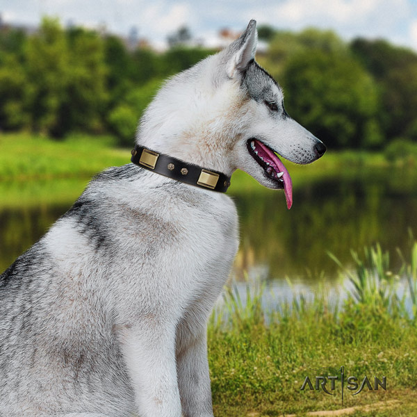 Siberian Husky incredible decorated full grain leather dog collar